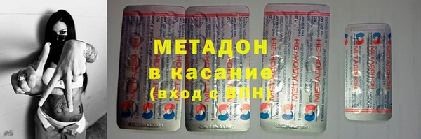 шишки Абаза