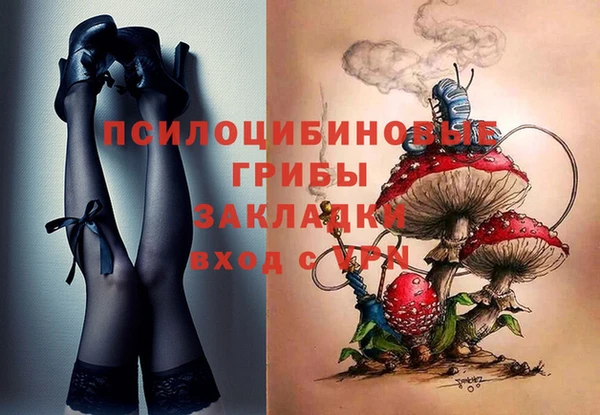 мяу мяу мука Алзамай