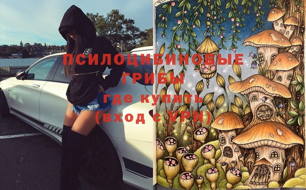 мяу мяу мука Алзамай