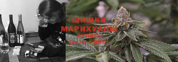 мяу мяу мука Алзамай