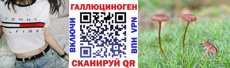 Псилоцибиновые грибы прущие грибы  Карасук 